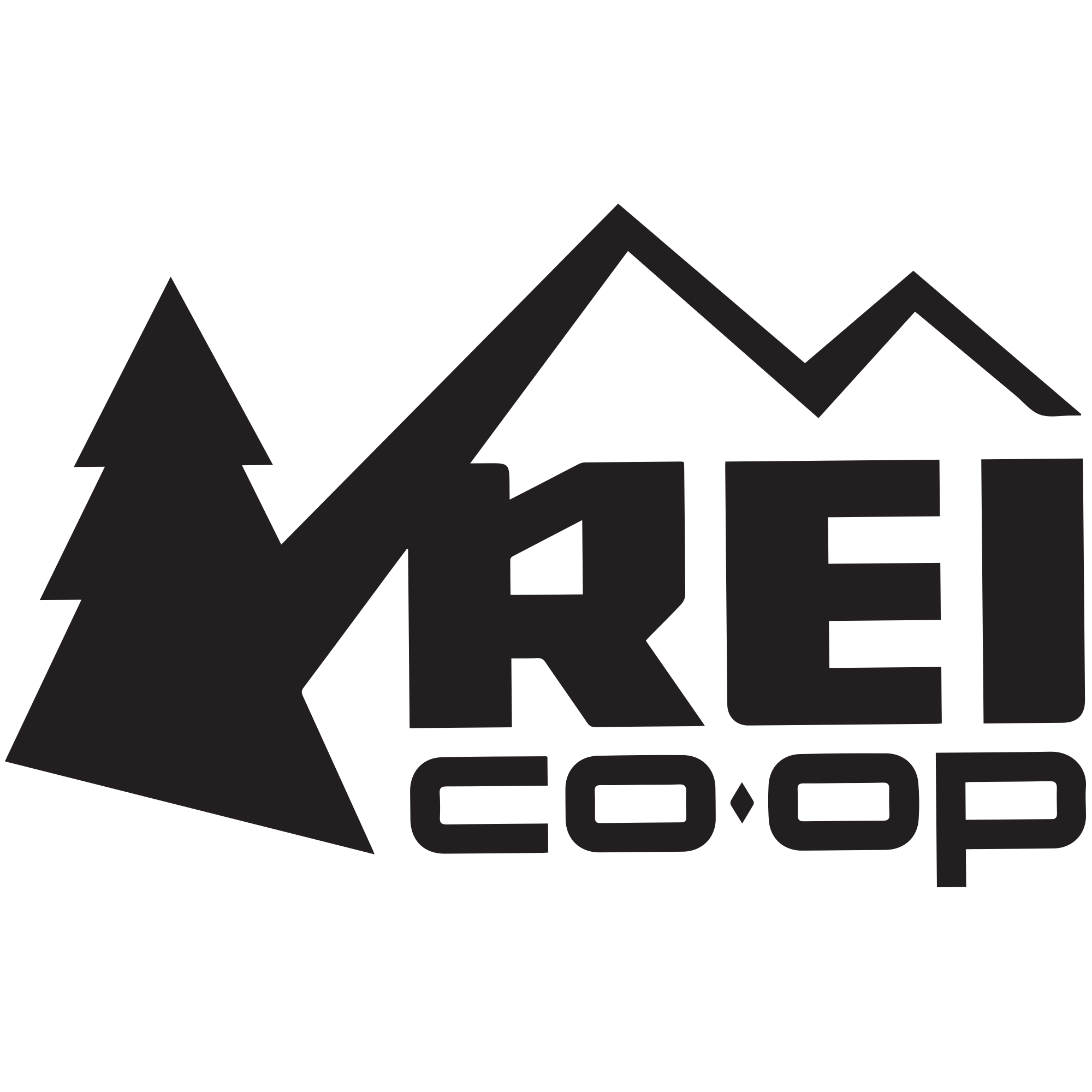 REI Co Op logo